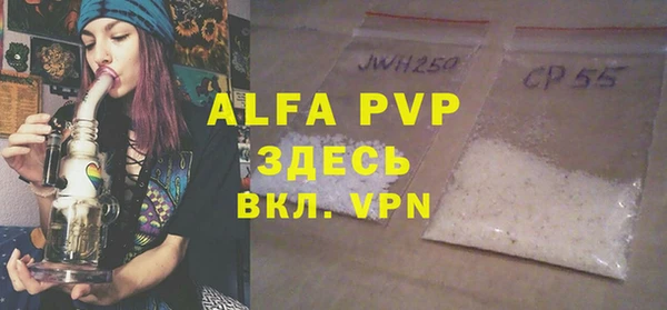 молекула духа Арсеньев