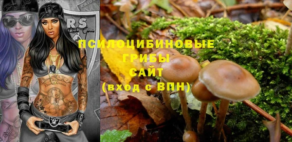 spice Алексеевка