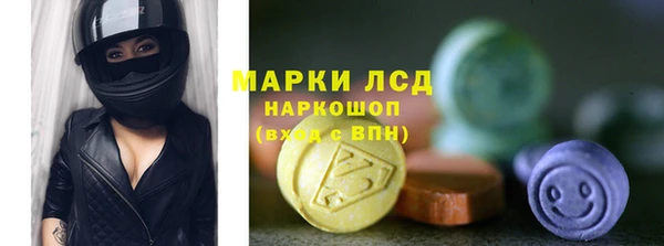молекула духа Арсеньев
