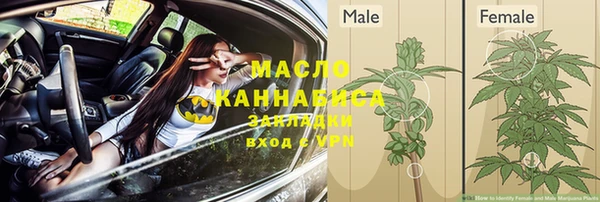 молекула духа Арсеньев