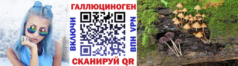 купить закладку Ессентуки Галлюциногенные грибы ЛСД