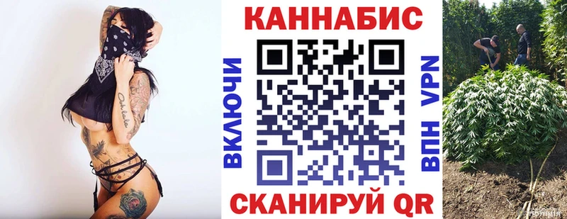 Бошки марихуана MAZAR Ессентуки